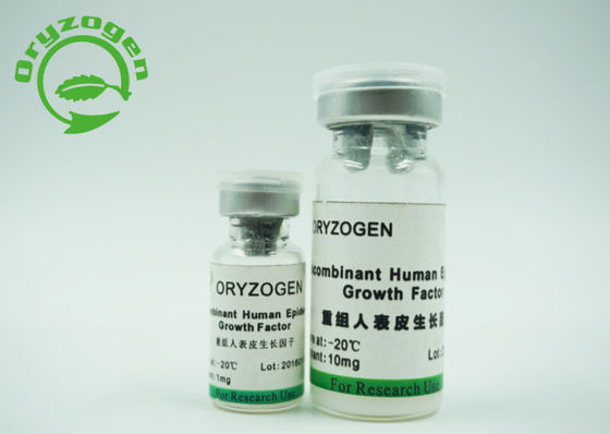 Componente animal no- del factor de crecimiento del rhEGF del origen de la levadura pH 6.5-7.5 epidérmicos