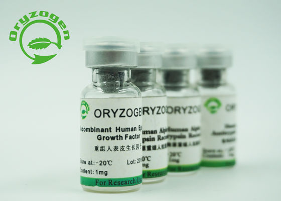 La pureza EGF recombinante del 98% liofilizó el peso molecular blanco 6.3Kd del polvo