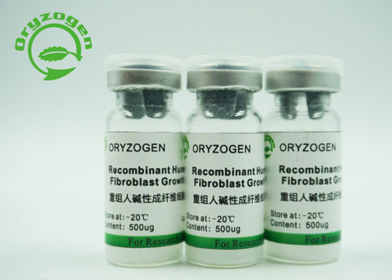 Pureza CAS 106096-93-9 del factor de crecimiento del bFGF del cultivo celular de célula madre mayor el de 95%