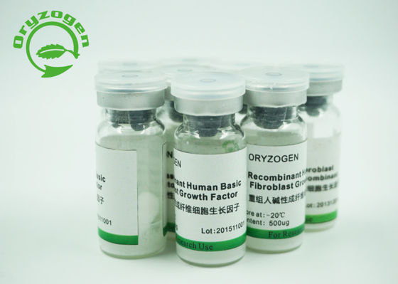 El bFGF humano del grano del arroz liofilizó el polvo con la endotoxina menos de 1 UE/ug