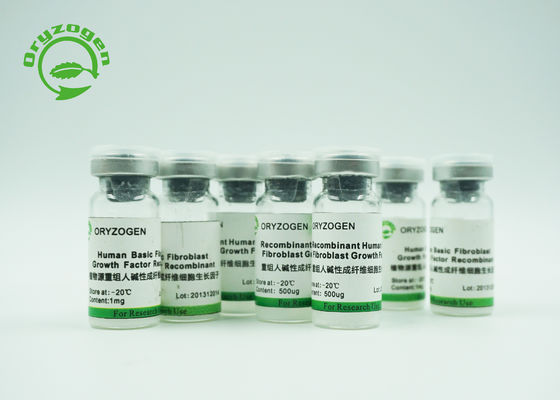 Factor de crecimiento del bFGF del cuidado de la belleza Oligopeptide humano recombinante 2