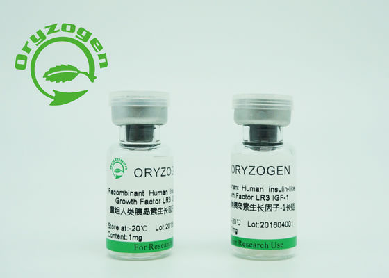 Pureza liofilizada R3 larga del origen IGF 1 recombinante mayor el de 90% de la levadura para el medio sin suero