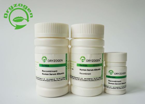 La albúmina de suero recombinante de la endotoxina baja TIENE cultivo celular para la fabricación/la formulación vaccíneas