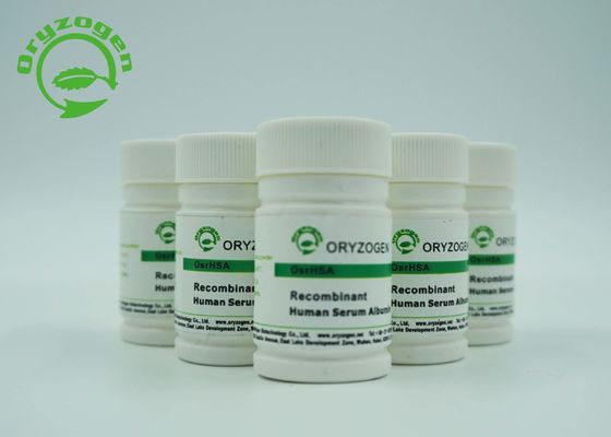 La albúmina humana recombinante de CAS 70024-90-7 TIENE con menos que la endotoxina 0.125EU/Mg