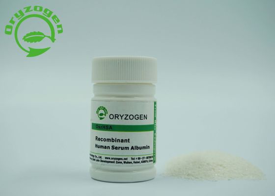 El grano del arroz recombinante TIENE rHSA vaccíneo 70024-90-7 del ingrediente del cultivo celular de la investigación