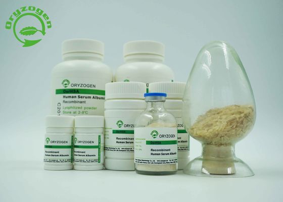 Blanco encender el polvo liofilizado beige recombinante TIENE ISO certificado