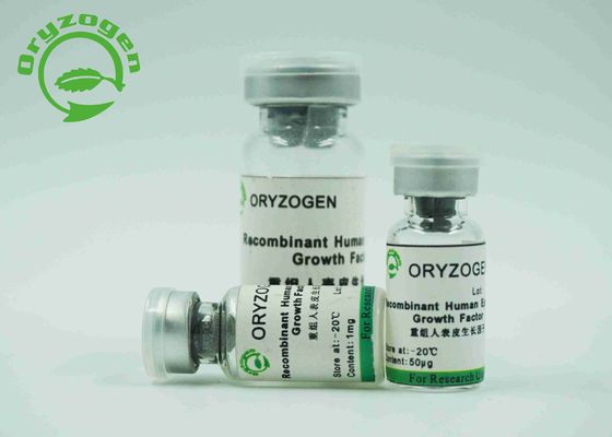 Blancos epidérmicos del factor de crecimiento de EGF liofilizados pulverizan con la endotoxina menos de 1,0 UE/magnesio