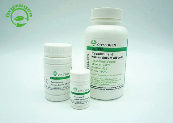 La albúmina de suero recombinante humana TIENE blanco para encender el polvo liofilizado beige