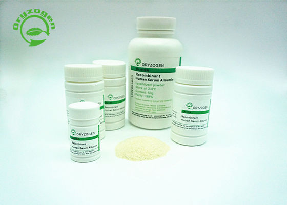 Oryzogen recombinante TIENE de grano del arroz tiene buena consistencia 70024-90-7 del lote