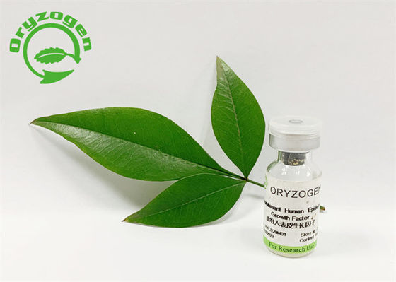 53 aminoácidos 5.3kD EGF humano recombinante liofilizaron el polvo