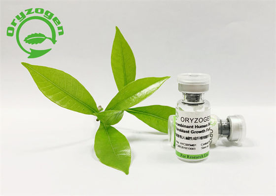 Planta antienvejecedora del factor de crecimiento del bFGF derivada con alta bioactividad