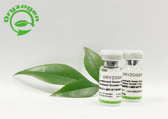 Factor de crecimiento natural del fibroblasto para aumentar metabolismo de la piel