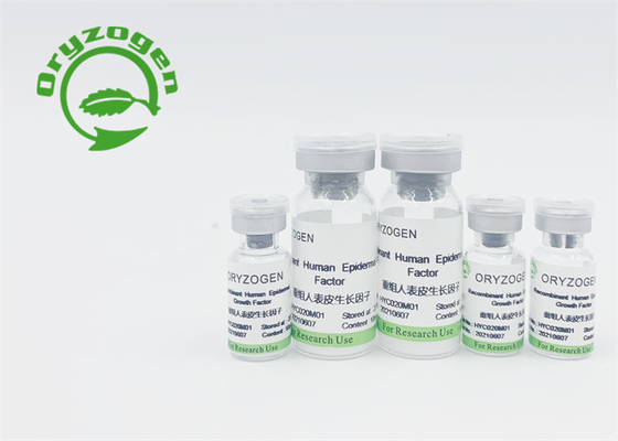 Factor de crecimiento epidérmico humano recombinante de la endotoxina baja EGF
