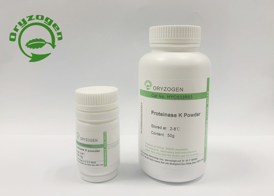 Pichia Pastoris derivó la proteína recombinante del resumen de la proteinasa K desactiva Nucleases