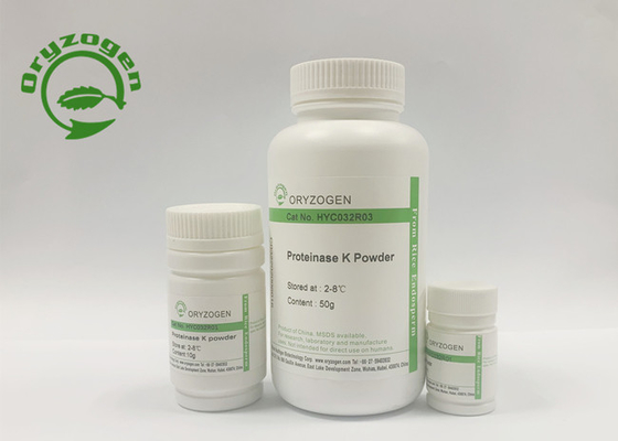 Proteinasa recombinante K de la actividad específica de mayor de 40 U/MgP para la extracción de la DNA
