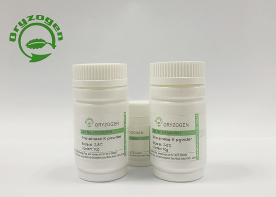 La levadura derivó la alta actividad recombinante 40 U/mgP de la proteinasa K