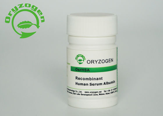 Blanco encender recombinante beige TIENE componente libre animal de M/P 65℃