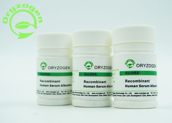 Blanco encender el polvo liofilizado beige recombinante TIENE ISO certificado