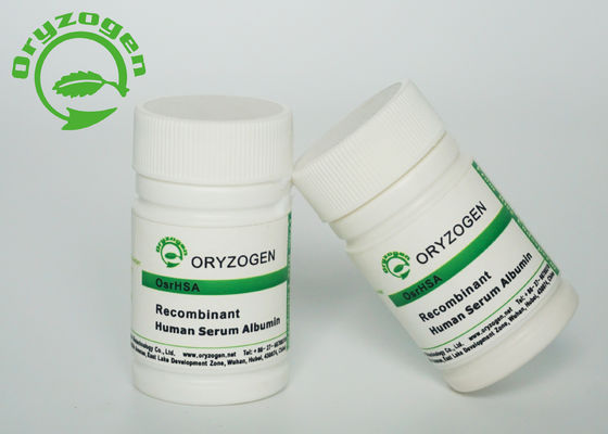 Recombinante Sativa del Oryza de M/P 65℃ TIENE peso molecular de la pureza 66.5kD del polvo el 99%