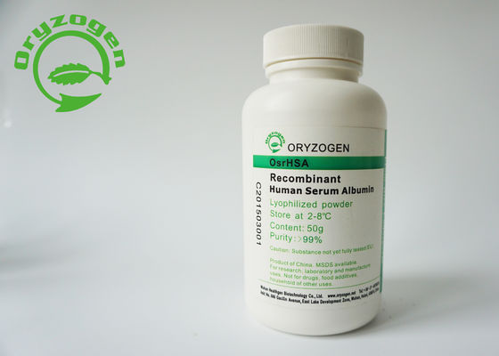 Recombinante Sativa del Oryza ha expresado de la plataforma específica del endospermo del arroz