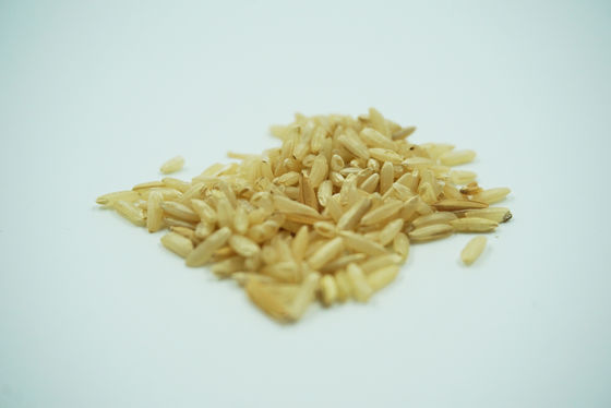 El específico del endospermo del arroz expresó la proteína humana recombinante de la albúmina TIENE sin ningún riesgo de los contaminantes