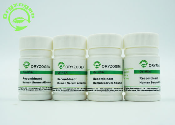 Recombinante Sativa del Oryza ha liofilizado la proteína humana total molecular de la albúmina del polvo 66.554KD