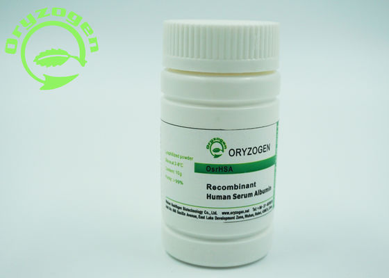 Recombinante Sativa del Oryza ha liofilizado la proteína humana total molecular de la albúmina del polvo 66.554KD