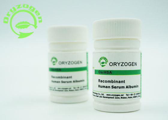 Recombinante derivada planta TIENE cultivo celular para la investigación con células madre TIENE polvo de la proteína