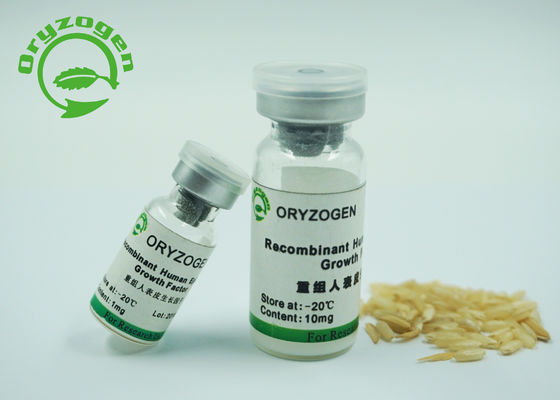 origen epidérmico de la levadura del factor de crecimiento de 6.3kD Recombiannt para el cultivo celular