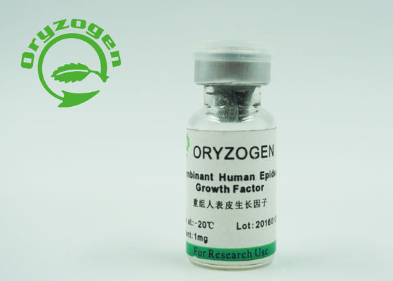 La levadura epidérmica humana del factor de crecimiento de CAS 62253-63-8 EGF derivó el componente animal no-