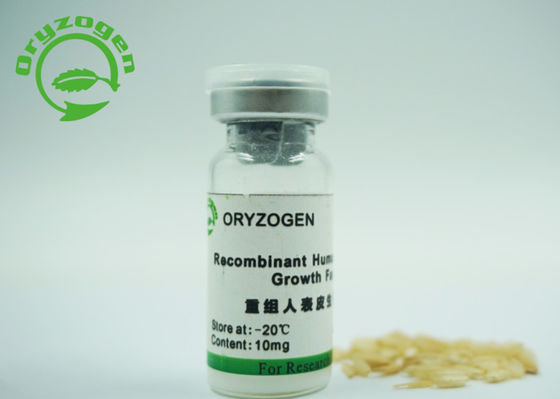 53 factor de crecimiento epidérmico recombinante del factor de crecimiento de los aminoácidos 6.3kD EGF liofilizado con el estabilizador del manitol