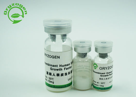 Factor de crecimiento epidérmico liofilizado de la proteína Egf para los cosméticos 1Ng/ml de la piel de ED50