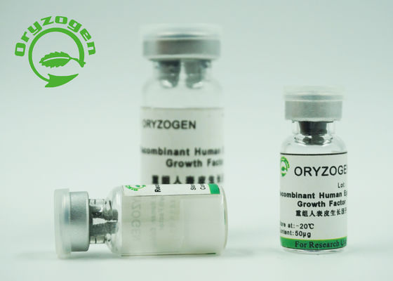 La pureza epidérmica recombinante humana del factor de crecimiento de la alta bioactividad EFG el 98% para la piel renueva/reparación