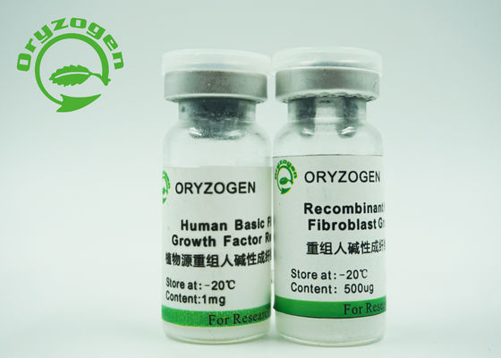 Xeno - componente animal molecular medio libre del peso 17KD del factor de crecimiento del bFGF de los ingredientes libre