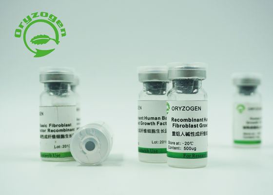 Oryza recombinante -20℃ extraído Sativa Storaged del factor del bFGF de la proteína