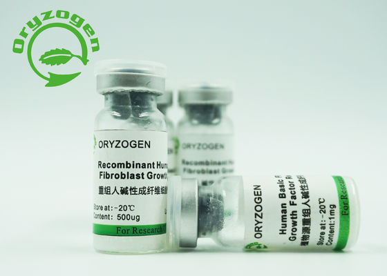 Bioactividad básica humana recombinante libre animal de las unidades X10^6/magnesio del factor de crecimiento del fibroblasto 1
