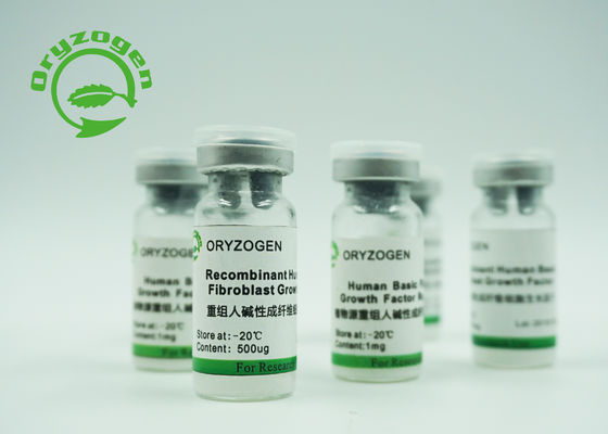 Factor de crecimiento básico recombinante del fibroblasto de la alta bioactividad BFGF para los cosméticos