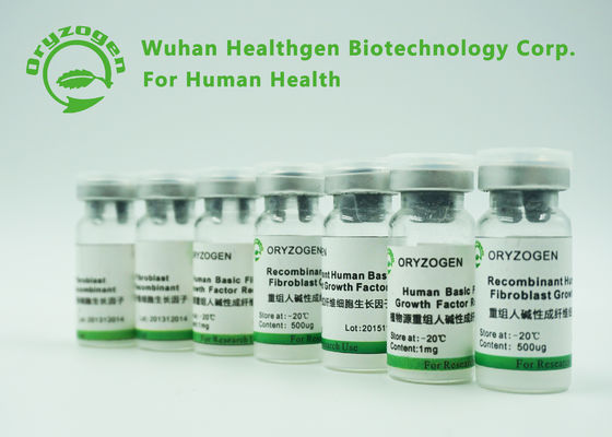 Factor de crecimiento básico recombinante del fibroblasto de la alta bioactividad BFGF para los cosméticos