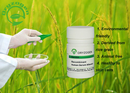 Origen de planta orgánico antienvejecedor humano recombinante beige ligero de la albúmina de suero 66.5kD