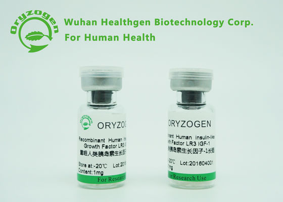 Recombiannt Igtropin IGF 1 R3 largo ningún peso molecular componente animal 9.1kD