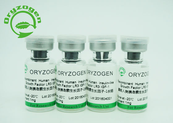 Factor de crecimiento largo R3 de la pureza IGF 1 recombinante mayor de 90% que promueve crecimiento de la célula