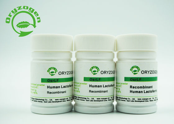 Lactoferrina humana recombinante de la proteína 80KD ningún componente animal para los cosméticos