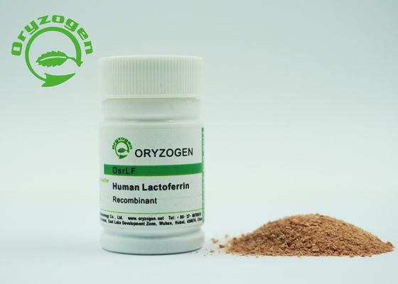 Lactoferrina humana recombinante de la proteína 80KD ningún componente animal para los cosméticos