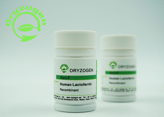 ℃ flojo rojizo Storaged del polvo 2-8 de la lactoferrina recombinante libre componente animal