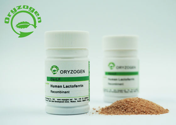 Liofilizado pulverice el peso molecular bajo de la endotoxina 80Kd de la lactoferrina humana recombinante
