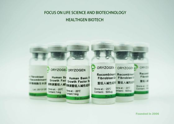 El ISO certificó origen Sativa del Oryza del factor de crecimiento del rbFGF