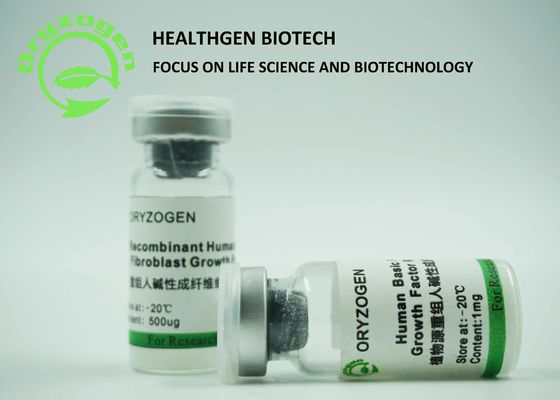 Peso molecular recombinante del factor de crecimiento del bFGF del origen del grano del arroz 17KD