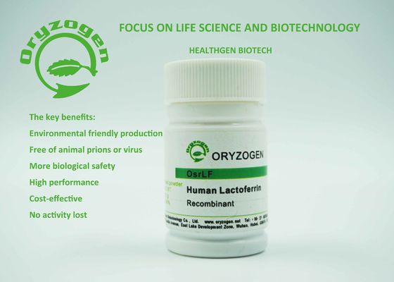Reactivo biológicos de la proteína recombinante humana de la lactoferrina de OsrhLF para los Biopharmaceuticals
