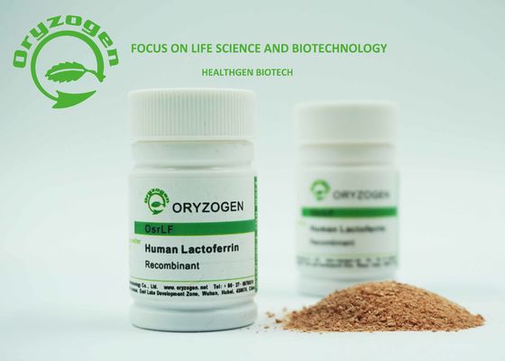 La planta derivó la lactoferrina humana recombinante SI para la concentración del FE del control