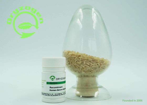 El específico del endospermo del arroz expresó la proteína humana recombinante de la albúmina TIENE sin ningún riesgo de los contaminantes